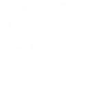 Ícone de basquetebol Ícone de basquetebol